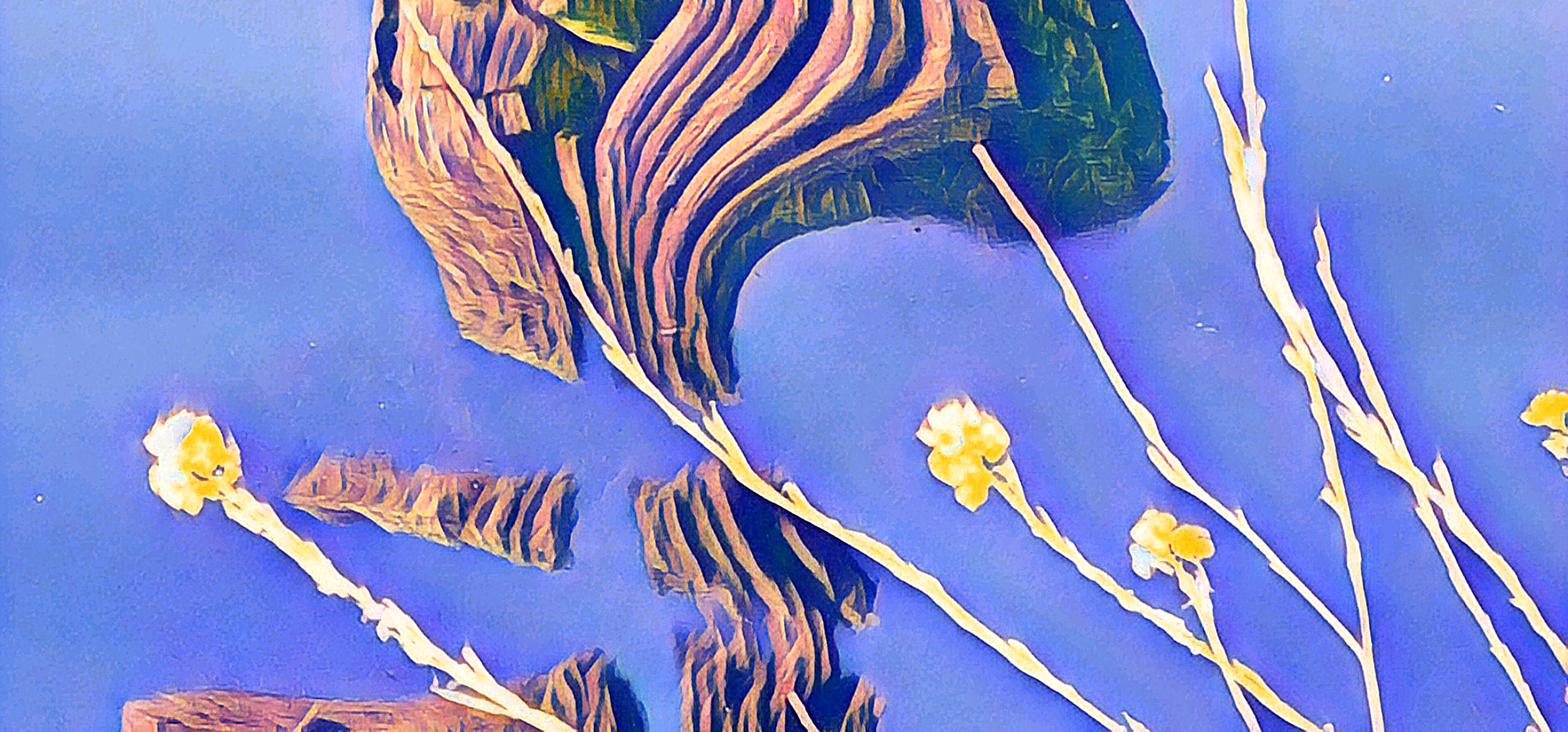 Stumped Reflection 